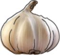 Knoblauch